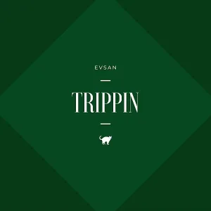 Evsan - Trippin
