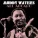 Muddy Waters - Rock Me