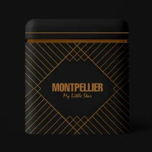 Montpellier - Stranger on a Train