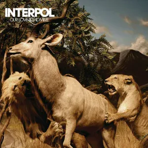 Interpol - The Scale
