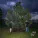 100 gecs, Laura Les, Dylan Brady - ringtone