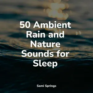 Nature Sounds, Wellness, Relax Meditation Sleep - Splish Splosh Rain