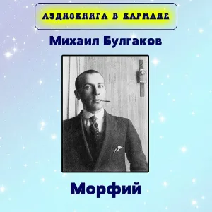 Аудиокнига в кармане - Глава 2