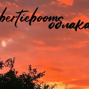 bertieboom - Бакенбарды