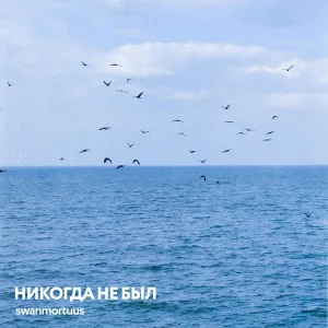 swanmortuus - Черная полоса