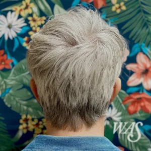 We Are Scientists - I Cut My Own Hair