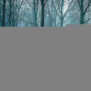 prvrln - Нас по закону даже судить нельзя