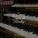 Calming Baby Sleep Music Club, London Piano Consort, Spa Brainwave Entrainment - Curl up and Relax