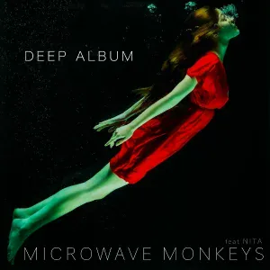 Microwave Monkeys feat. Nita - I've Been Thinking About You
