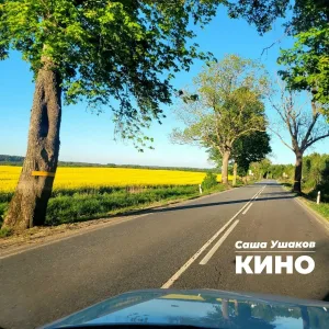 Саша Ушаков - Кино