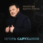 Игорь Саруханов - Золотая колесница