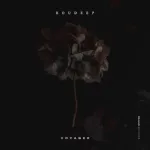 Roudeep - Voyager