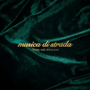 musica di strada - Питер, май, аккордеон