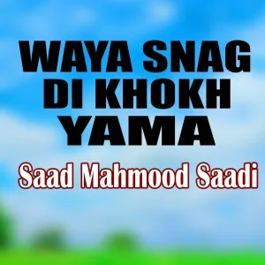 Saad Mahmood Saadi - Ror Da Ror Da Satrgo Tor Di