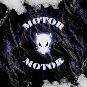 DE4F - MOTOR