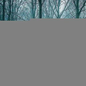 prvrln - Пообещайте мне любовь