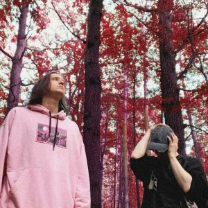 XEKURO, DROZD - ДАВИТЬ