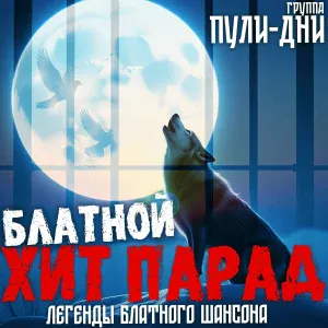 Группа Пули-Дни - Седой
