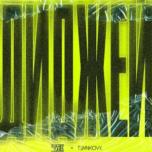 Swanky Tunes, Temnikova - Диджей