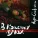 Вера Сажина - Ветки, ветки