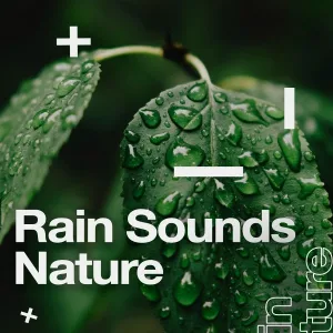 Meditation Music - Nature Sounds