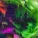 FindMyName - Sabbath