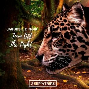 Jaques Le Noir - Turn Off The Light
