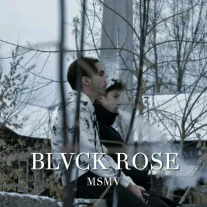 MSMV - Zone X