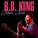 B.B. King - Night Long