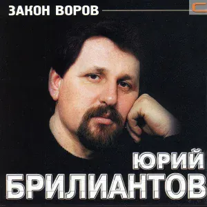Юрий Бриллиантов - За забором