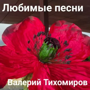 Валерий Тихомиров - Мальчик мой Май