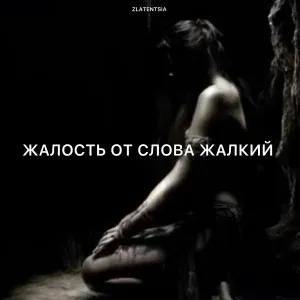 Zlatentsia - Жалость от слова жалкий