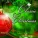 Wolfgang Amadeus Mozart - Coronation Mass In C Major, K.317: 3 Credo