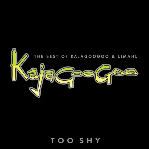 Kaja - Shouldn't Do That