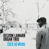 Delvon Lamarr Organ Trio - Don't Worry 'Bout What I Do