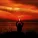 Classical Study Music, Restaurant Music Academy, Chillout Music Ensemble - Lost in the Moment