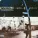 Warren G feat. Dove Shack - This Is The Shack