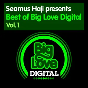 Paul Harris feat. Cevin Fisher - Losing My Mind