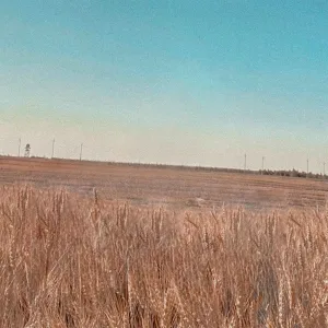 ARILLOWENA - ОТКРОВЕНИЕ