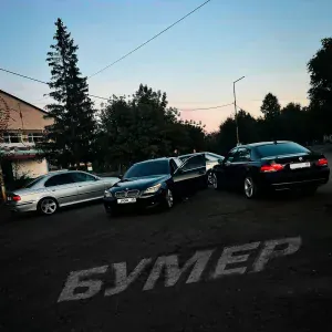 _FOX_ - Бумер