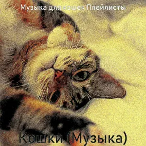 Музыка для кошек Плейлисты - Мечты (Отдыхающие кошки)