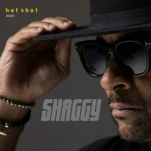 Shaggy feat. Rayvon - It Wasn't Me (Hot Shot 2020)