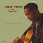 Muddy Waters - Southbound Train