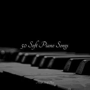 Piano Pianissimo, Anti Stress, Piano Music for Work - Rolling Fields