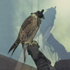 Iceage - Wounded Hearts