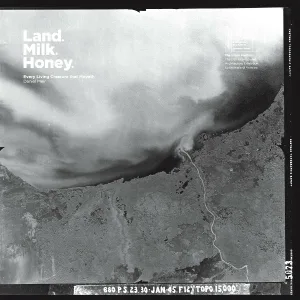Daniel Meir feat. HALAS - Swamp 01: Slowed Down Nature