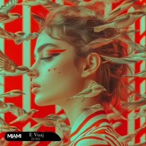 ELNO - E Vuaj
