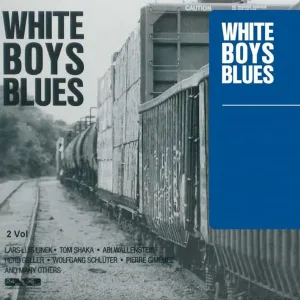 Lars-Luis Linek Band - Train De Vie
