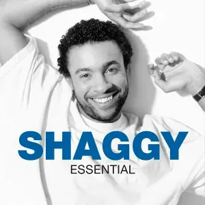 Shaggy feat. Rayvon - In The Summertime