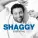 Shaggy feat. Rayvon - In The Summertime